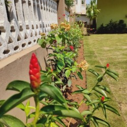 Rental Holiday Homes Independent 4bhk Villa Benaulim near Trinity beach. Daily Rental Homes In Goa