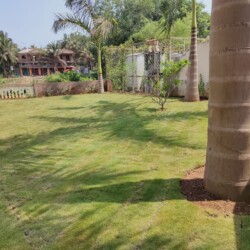 Rental Holiday Homes Independent 4bhk Villa Benaulim near Trinity beach. Daily Rental Homes In Goa