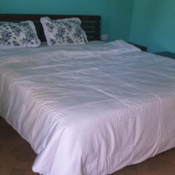 Daily Rental & Monthly Rental Holiday Homes. Studio Apartment & Deluxe Rooms in Betalbatim, South Goa.